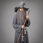 Merlin | Men's Wizard Costume | With Hat · PNY