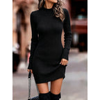 Vivian | Women's Mock-Neck Sweater Dress | Ribbed Knit · PNY